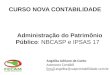 Administração do Patrimônio Público: NBCASP e IPSAS 17 Angelita Adriane de Conto Assessora Contábil EmailEmail angelita@caspcontabilidade.com.br CURSO
