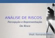 Percepção e Representação Do Risco Prof. Fernando Pires ANÁLISE DE RISCOS
