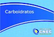 Carboidratos. Disponível em:. Acesso em: 05 fev. 2012