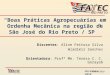 Junho/2010 Boas Práticas Agropecuárias em Ordenha Mecânica na região de São José do Rio Preto / SP Discentes: Aline Feitosa Silva Wladimir Sanches Orientadora: