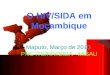 O HIV/SIDA em Moçambique Maputo, Março de 2010 PNC ITS/HIV/SIDA - MISAU