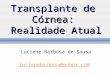 Transplante de Córnea: Realidade Atual Luciene Barbosa de Sousa lucienebarbosa@pobox.com
