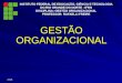 INSTITUTO FEDERAL DE EDUCAÇÃO, CIÊNCIA E TECNOLOGIA DO RIO GRANDE DO NORTE - IFRN DISCIPLINA: GESTÃO ORGANIZACIONAL PROFESSOR: RAFAELLI FREIRE GESTÃO ORGANIZACIONAL