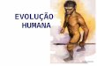 H. floresiensis EVOLUÇÃO HUMANA. Evolução A evolução não tem um objetivo a longo prazo. Não existe um alvo a longo prazo, nenhuma perfeição última que