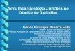Nova Principiologia Jurídica no Direito do Trabalho Carlos Henrique Bezerra Leite Doutor e Mestre em Direito (PUC/SP) Professor Associado de Direitos
