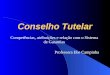 Conselho Tutelar Competências, atribuições e relação com o Sistema de Garantias Professora Ebe Campinha
