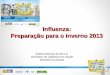 Influenza: Preparação para o inverno 2013 Jarbas Barbosa da Silva Jr. Secretário de Vigilância em Saúde Ministério da Saúde