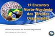 Paulo Augusto de Freitas Oliveira 1º Encontro Norte-Nordeste das Torcidas Organizadas Direitos e Deveres das Torcidas Organizadas