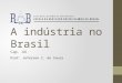 A indústria no Brasil Cap. 44 Prof. Jeferson C. de Souza