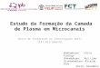 Estudo da Formação da Camada de Plasma em Microcanais Bolsa de Integração na Investigação (BII) CEFT/BII/2009/01 Porto, Dezembro 2010 Realizado por: Cátia