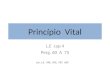 Princípio Vital L.E cap 4 Perg. 60 A 75 Ler: L.E. 540, 592, 597, 607