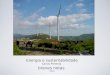 Energia e sustentabilidade Carlos Pimenta breves notas 2010