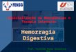 Hemorragia Digestiva Prof. Fernando Ramos Gonçalves - Msc Especialização em Emergências e Terapia Intensiva