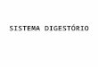 SISTEMA DIGESTÓRIO. Órgãos do Sistema Digestório