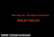 SISLEY VOLLEY Volei Arena 3d – Simulador de Ambientes OSDWEB – Tecnologia em informação
