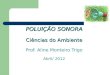POLUIÇÃO SONORA Ciências do Ambiente POLUIÇÃO SONORA Ciências do Ambiente Prof. Aline Monteiro Trigo Abril/ 2012