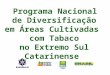 Programa Nacional de Diversifica§£o em reas Cultivadas com Tabaco no Extremo Sul Catarinense