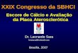XXIX Congresso da SBHCI Escore de Cálcio e Avaliação da Placa Aterosclerótica Dr. Leonardo Sara leosara@hotmail.com Brasília, 2007