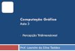 Prof. Leandro da Silva Taddeo – Percepção Tridimensional Aula 3