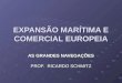 EXPANSÃO MARÍTIMA E COMERCIAL EUROPEIA AS GRANDES NAVEGAÇÕES PROF. RICARDO SCHMITZ