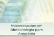 Macrotesauros em Biotecnologia para Amazônia. Caracterização do Problema Crescimento da oferta de informação Sistemas de organização do conhecimento Promovam