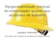 Responsabilidade criminal do empregador quanto aos acidentes de trabalho Leandro Volochko Promotor de Justiça do Estado de Mato Grosso