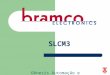 Gênesis Automação e Serviços SLCM3. Características do sistema BRAMCO O sistema SLCM3 é simples e robusto constituindo excelente solução para monitoração,