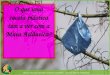 O que uma sacola plástica tem a ver com a Mata Atlântica?