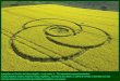 Agrogrifos ou Círculos de Cultura (inglês: « crop circles ») : Tão improváveis quanto fascinantes. Canadá, Estados Unidos, Holanda, França, Inglaterra