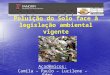 Poluição do Solo face à legislação ambiental vigente Acadêmicos: Camila – Paulo – Lucilene – Éder