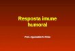 Resposta imune humoral Prof. Aguinaldo R. Pinto. Anticorpos Proteínas solúveis que pertecem à classe das globulinas, devido a sua estrutura globular