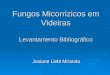 Fungos Micorrizicos em Videiras Levantamento Bibliográfico Josiane Liebl Miranda