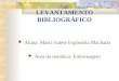 LEVANTAMENTO BIBLIOGRÁFICO Aluna: Maria Salete Espíndola Machado Área da temática: Enfermagem