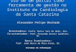 Uso de um portal como ferramenta de gestão no Instituto de Cardiologia de Santa Catarina Alexandre Felipe Machado Orientadora: Profa. Maria Taís de Melo,