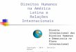 Direitos Humanos na América Latina e Relações Internacionais Copyright – 2014 - Danielle Annoni danielle.annoni@gmail.com Direito Internacional dos Direitos