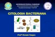 CITOLOGIA BACTERIANA Profº Renato Varges. CITOLOGIA BACTERIANA As células são as unidades fundamentais dos seres vivos Bactérias são os menores seres