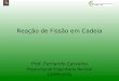 Reação de Fissão em Cadeia Prof. Fernando Carvalho Programa de Engenharia Nuclear COPPE/UFRJ
