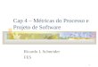 1 Cap 4 – Métricas do Processo e Projeto de Software Ricardo L Schneider FES