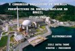 X CONGRESSO BRASILEIRO DE ENERGIA PERSPECTIVAS DA ENERGIA NUCLEAR NO BRASIL 27/10/2004 ELETRONUCLEAR ZIELI DUTRA THOMÉ DIRETOR - PRESIDENTE