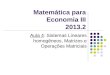 Matemática para Economia III 2013.2 Aula 4: Sistemas Lineares homogêneos, Matrizes e Operações Matriciais