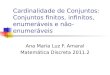 Cardinalidade de Conjuntos: Conjuntos finitos, infinitos, enumeráveis e não-enumeráveis Ana Maria Luz F. Amaral Matemática Discreta 2011.2