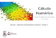 Cálculo Numérico Prof. Guilherme Amorim 14/11/2013 Aula 8 – Sistemas de Equações Lineares / Parte 1