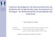 Mestrado em Engenharia e Gestão de Tecnologia Factores Estratégicos de Desenvolvimento da Indústria de Componentes para Automóvel em Portugal - Os Determinantes