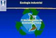 Ecologia Industrial O Metabolismo da Economia Física