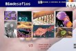 Biodesafios 12 U3 Bio desafios U3 Imunidade e controlo de doenças