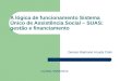 A lógica de funcionamento Sistema Único de Assistência Social – SUAS: gestão e financiamento Denise Ratmann Arruda Colin Curitiba, 05/05/2010