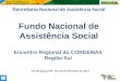Fundo Nacional de Assistência Social Secretaria Nacional de Assistência Social Foz do Iguaçu/PR, 19 e 20 de fevereiro de 2013 Encontro Regional do CONGEMAS