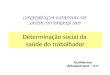 Determinação social da saúde do trabalhador Guilherme Albuquerque - UFPR CONFERÊNCIA ESTADUAL DE SAÚDE DO PARANÁ 2009