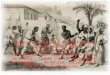 A história da Capoeira começa no século XVI, na época em que o Brasil era colônia de Portugal. Muitos destes escravos vinham da região de Angola, também