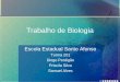 Trabalho de Biologia Escola Estadual Santo Afonso Turma 201 Diogo Perdigão Priscila Silva Samuel Alves
